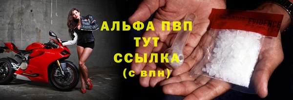 спиды Строитель