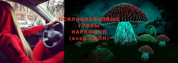 спиды Строитель