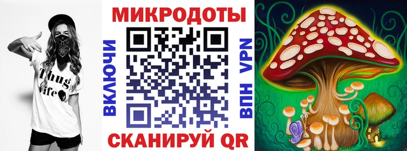 Галлюциногенные грибы Psilocybe Купить закладки Сунжа